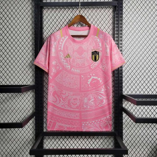 Italie Maillot Concept Joueur